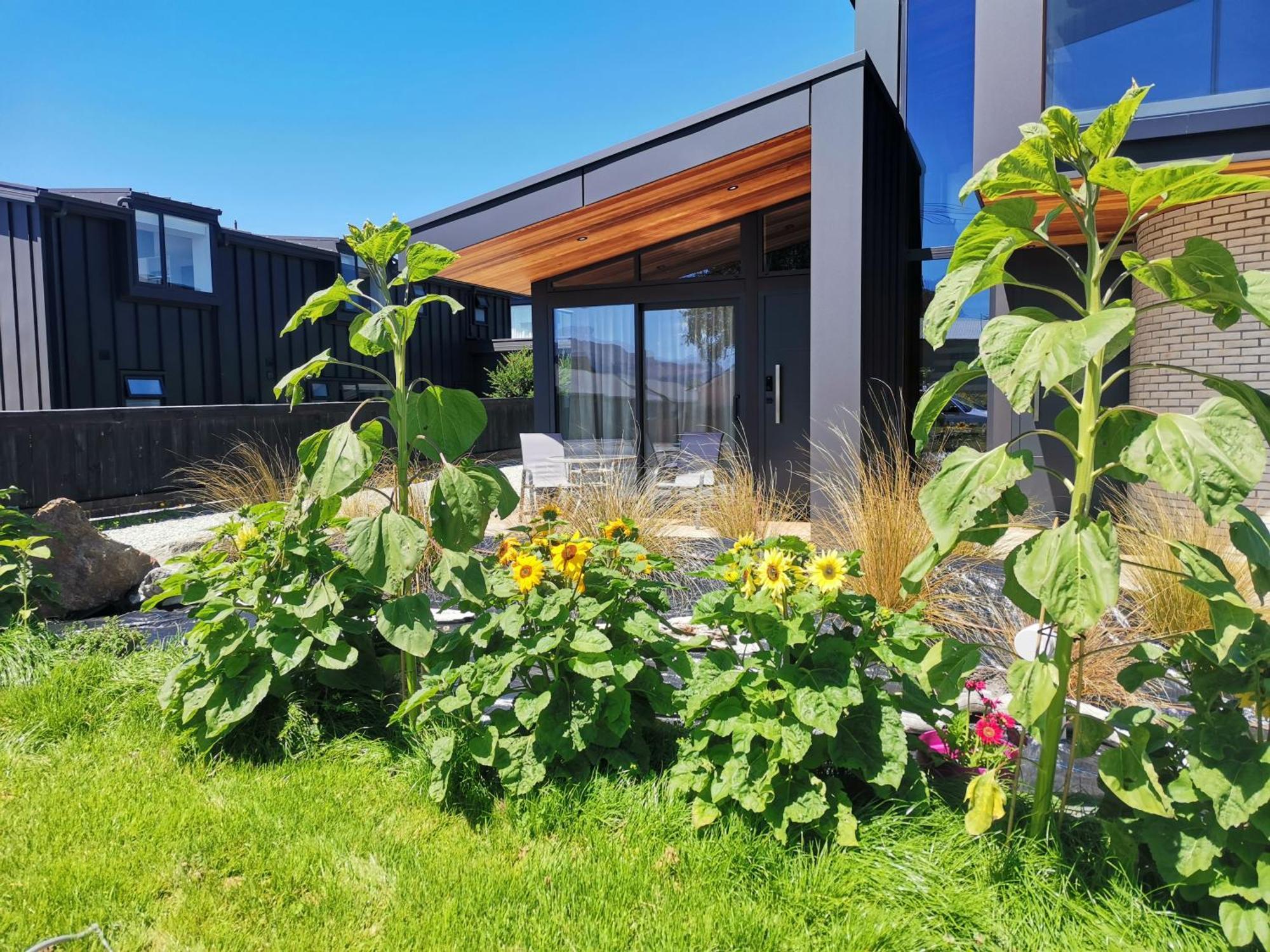 Ferienwohnung Roys View Wanaka Exterior foto